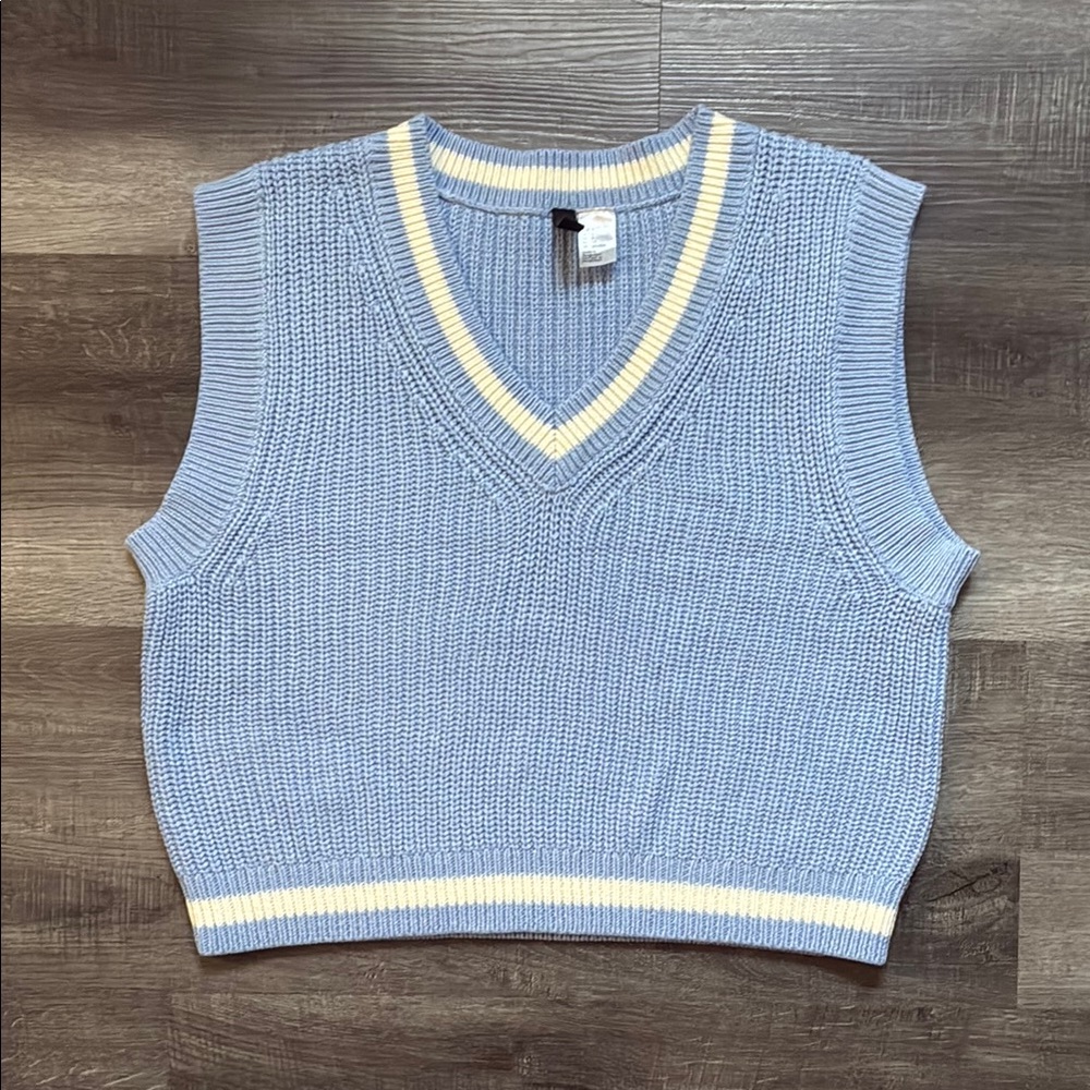 Divided Blue Knit Vest with Cream Stripes